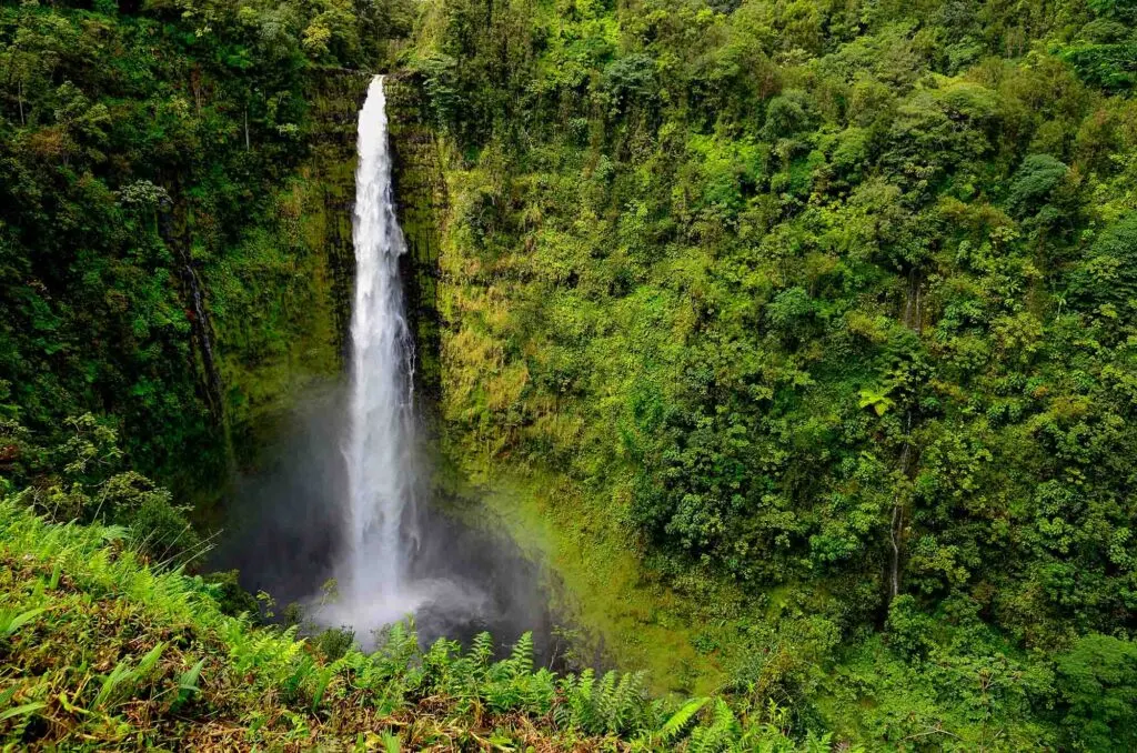 Visiting the Akaka Falls is one of the best things to do on Big Island, Hawaii
