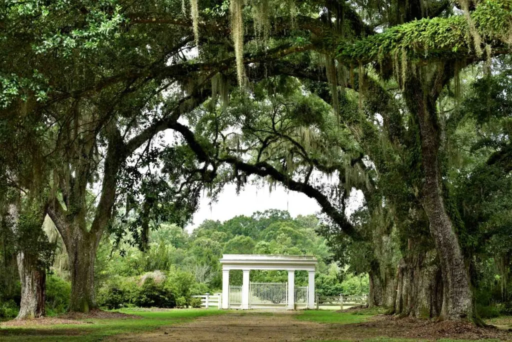 St Francisville is one of the best small towns in Louisiana