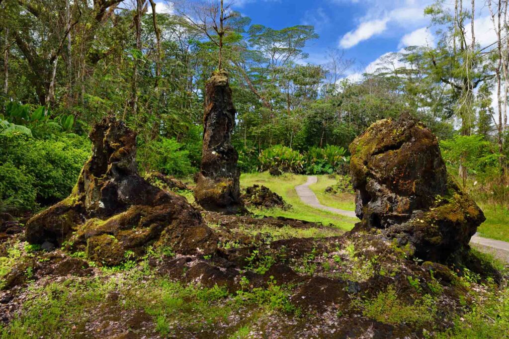 Marveling at the Lava trees is one of the best things to do on Big Island, Hawaii