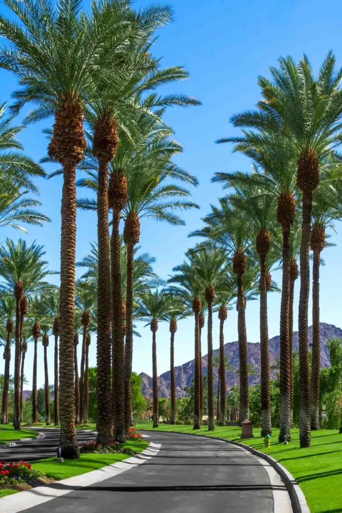 Palm Springs, California is one of the warm winter vacations in the US