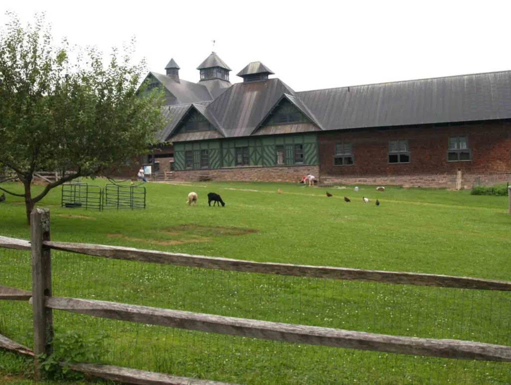 Visiting the animals at Shelburne Farms is one of the best things to do in Burlington, Vermont