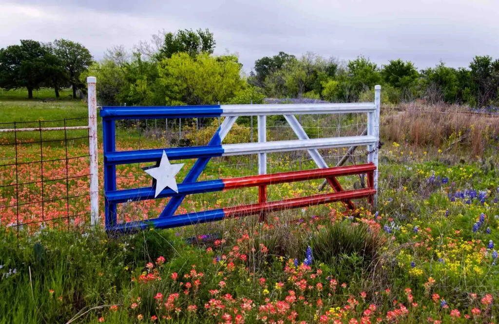 Texas flag on gate in wildflower's field