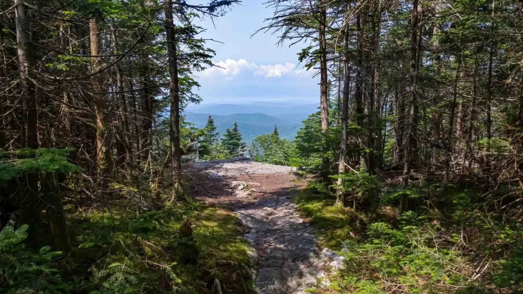 Hiking through Vermont’s forests is one of the best things to do in Burlington, Vermont