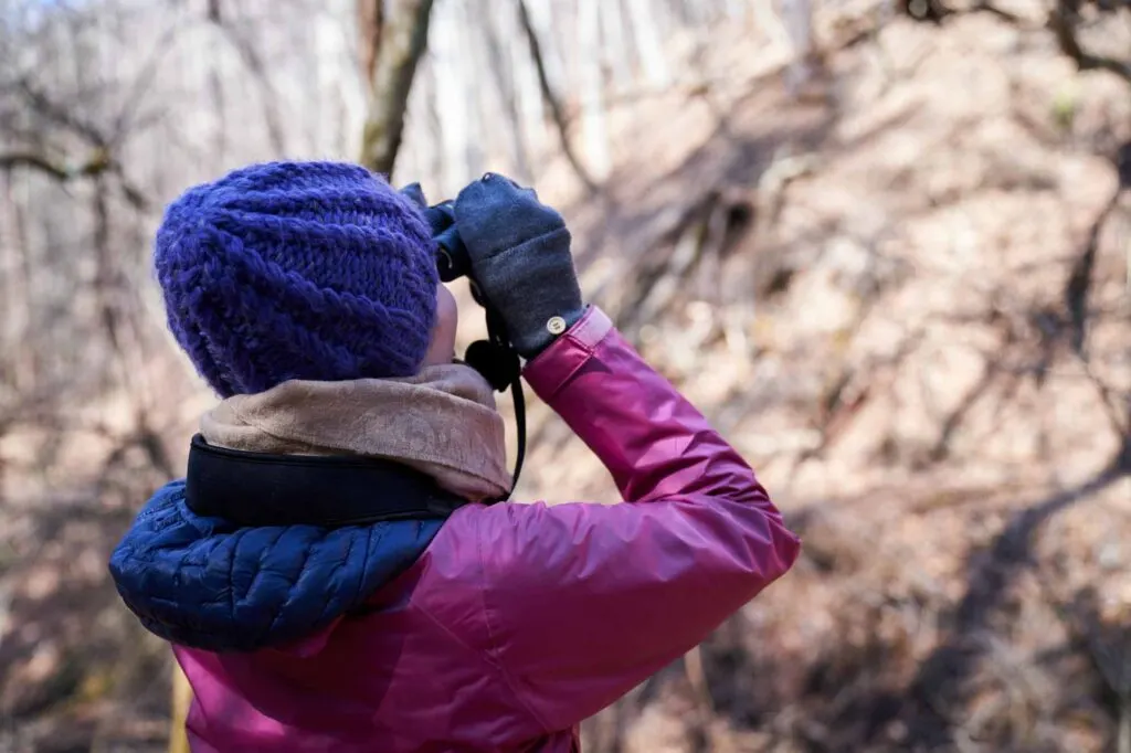 Enjoying winter wildlife watching is one of the things to do in winter in Maine