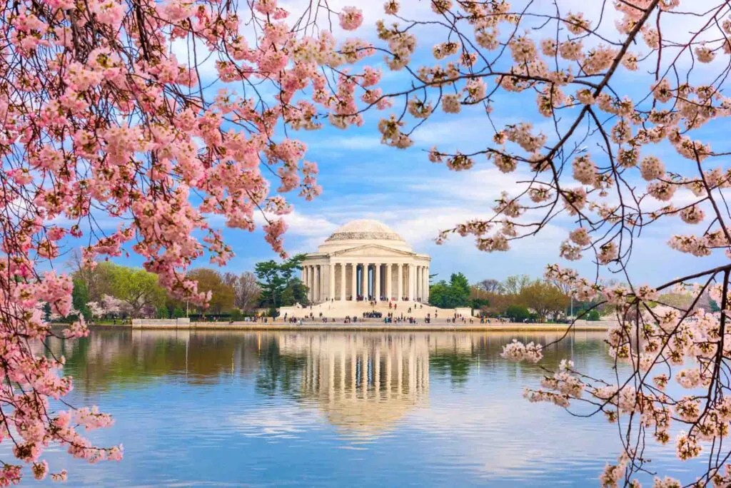 Washington DC is one of the best places to visit in March in the USA