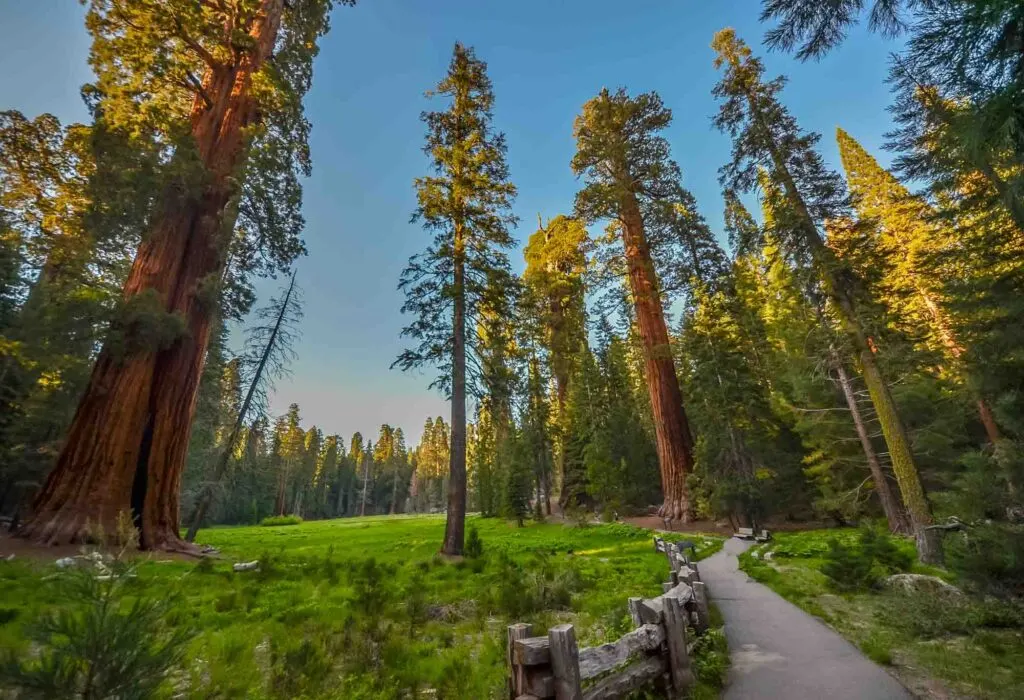 Sequoia and Kings Canyon National Park is one of the best places to visit in California