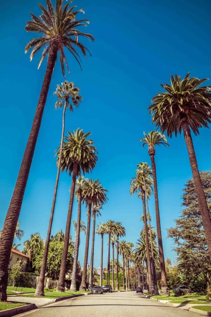 Los Angeles is one of the best places to visit in California