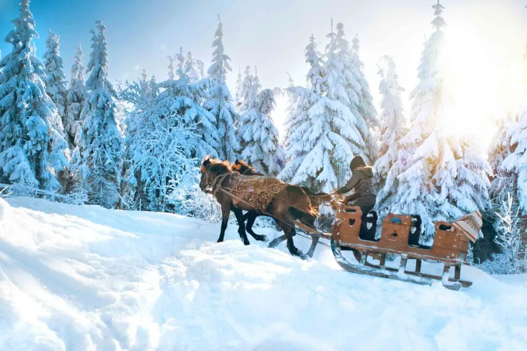 Going on a one-Horse open sleigh ride is one of the fun things to do in New Hampshire in winter