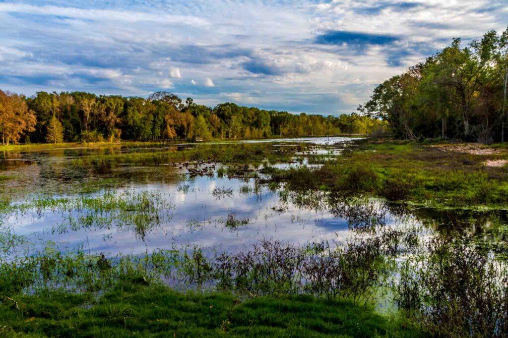 Hiking at Brazos Bend State Park is one of the fun Houston date ideas