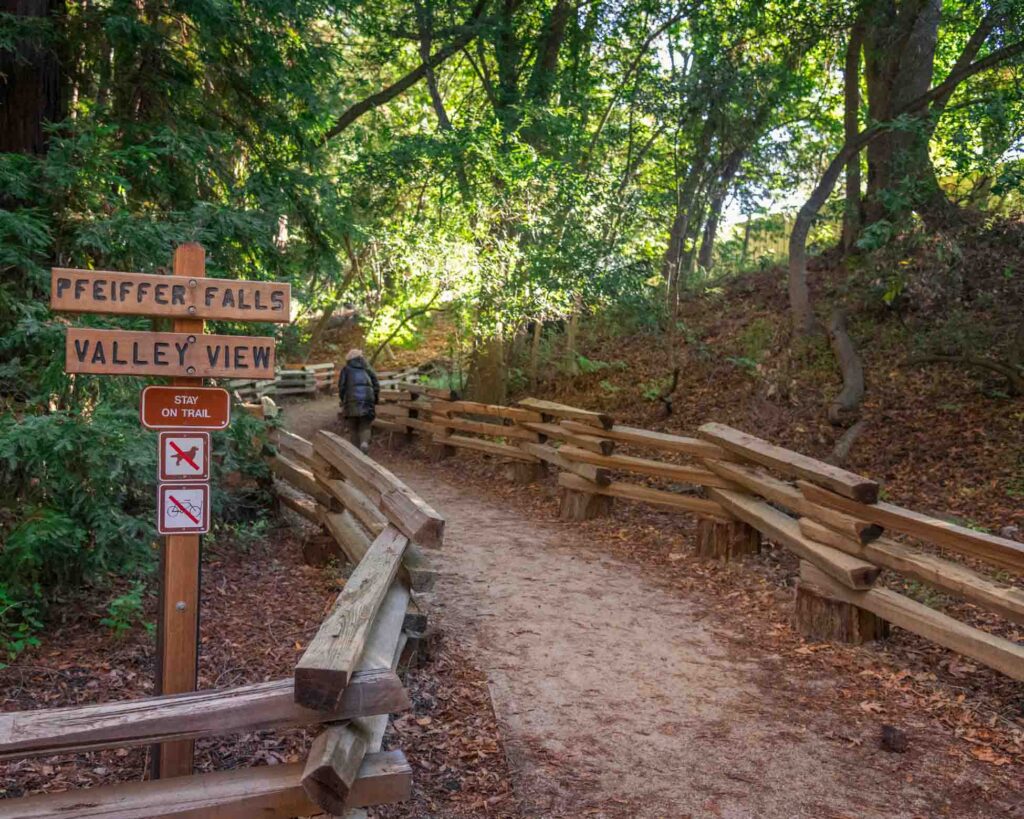 Pfeiffer Falls trail in Pfeiffer Big Sur State Park, Big Sur, California