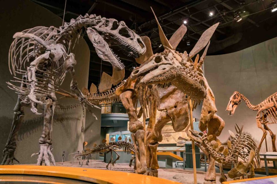 Weekend in Denver: The Perfect 2-Day Denver Itinerary - Roaming the USA