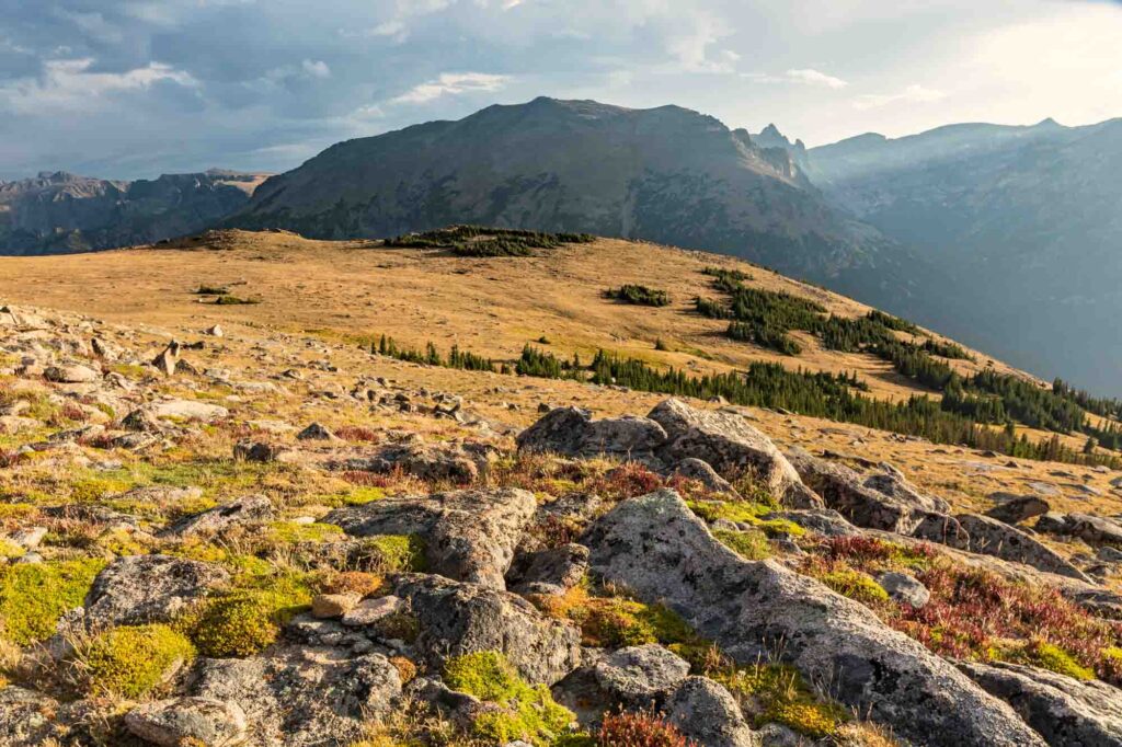 Cool Alpine tundra in Ute Trail in Rocky Mountains in Colorado