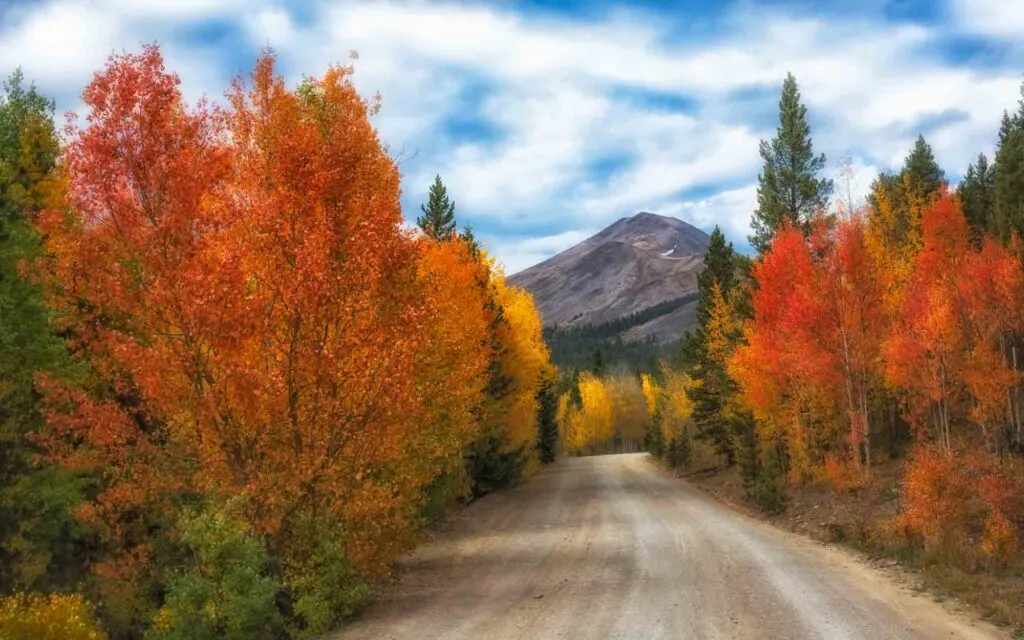 Colorful fall foliage in Boreas Pass in Colorado