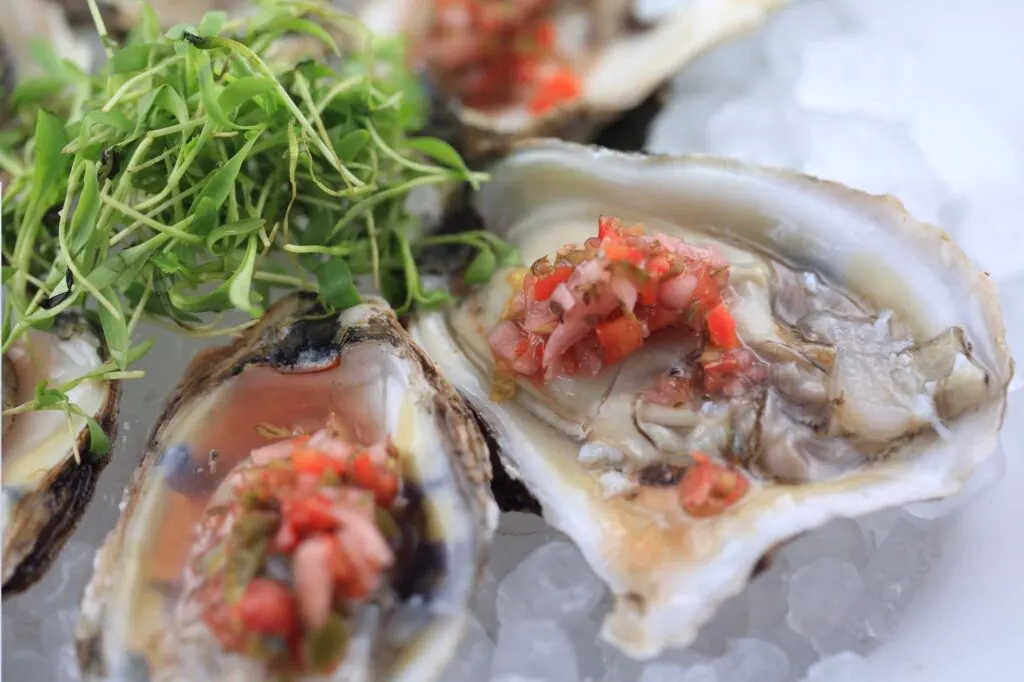 Anna Maria Oyster Bar is one of the best restaurants on Anna Maria Island