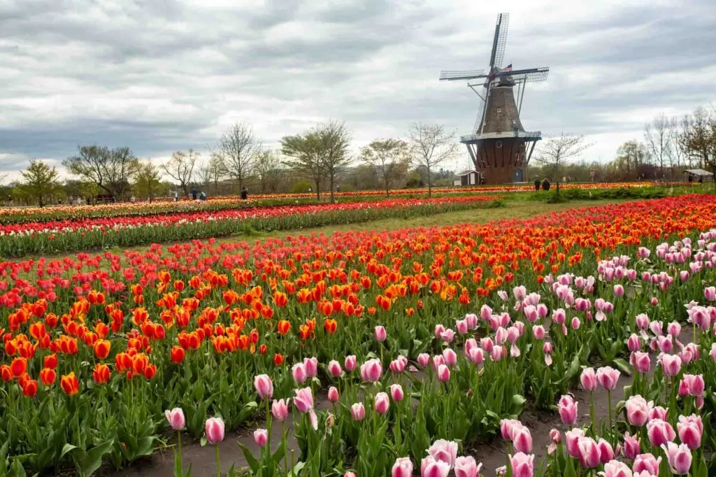  Holland, Michigan is one of the absolute best places to visit in May in the USA