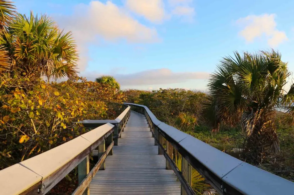  Barefoot Beach Preserve boardwalk surrounded by beautiful scenery