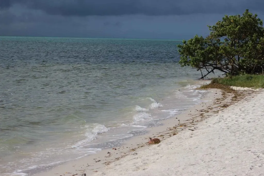 Tranquil beach at Curry Hammock State Park in Florida