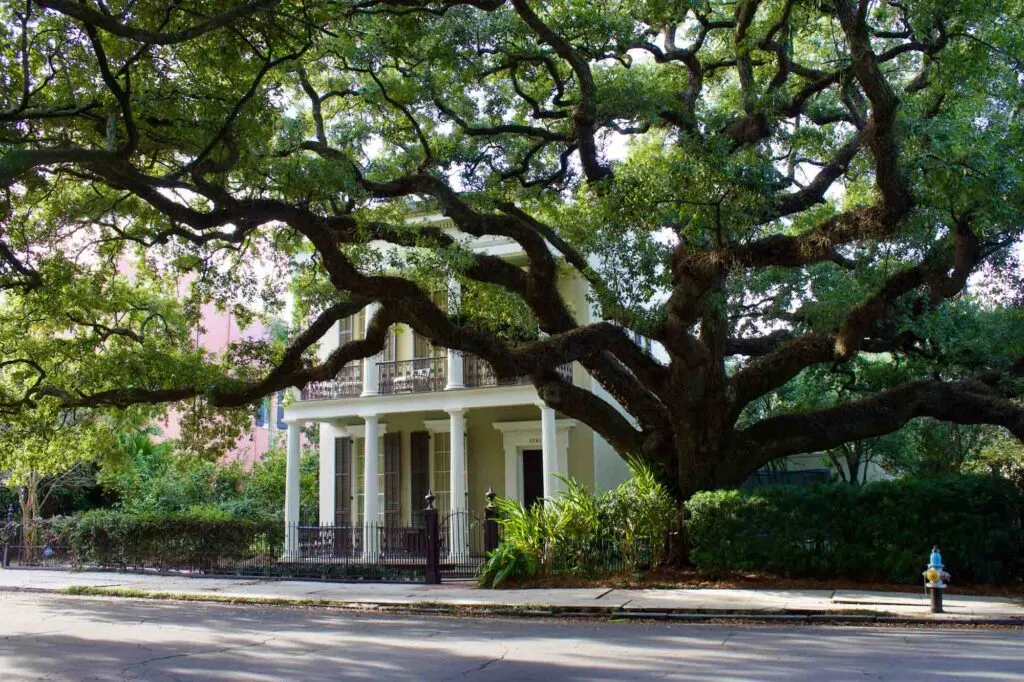 The cool Garden district of New Orleans