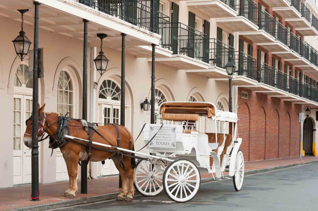 Elegant horse-drawn carriage in French quarter in New Orleans