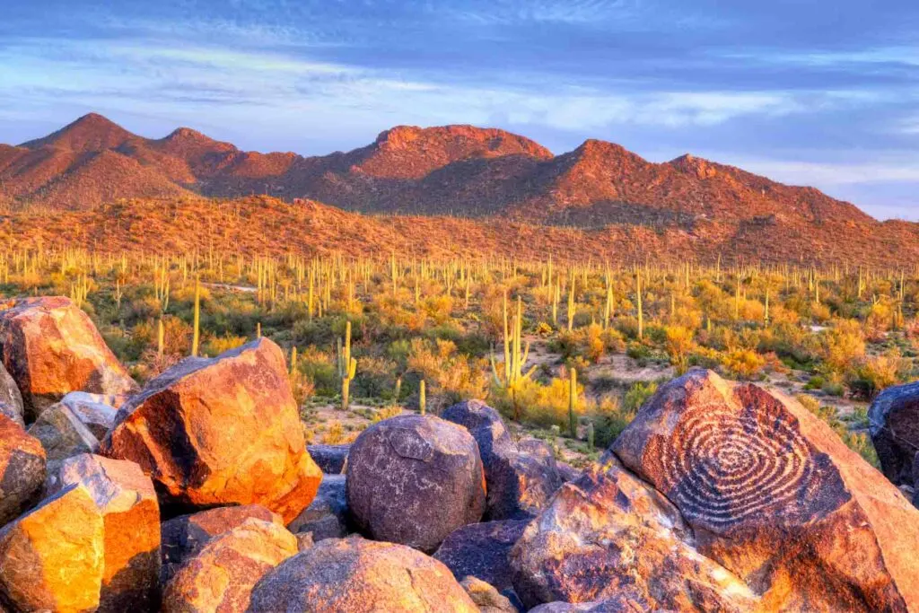 Petroglyphs in Saguaro National Park in Arizona