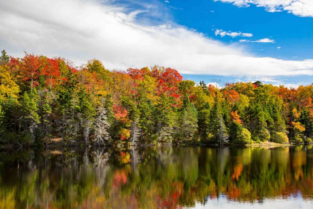 Colorful fall foliage in Adams reservoir in Woodford State Park