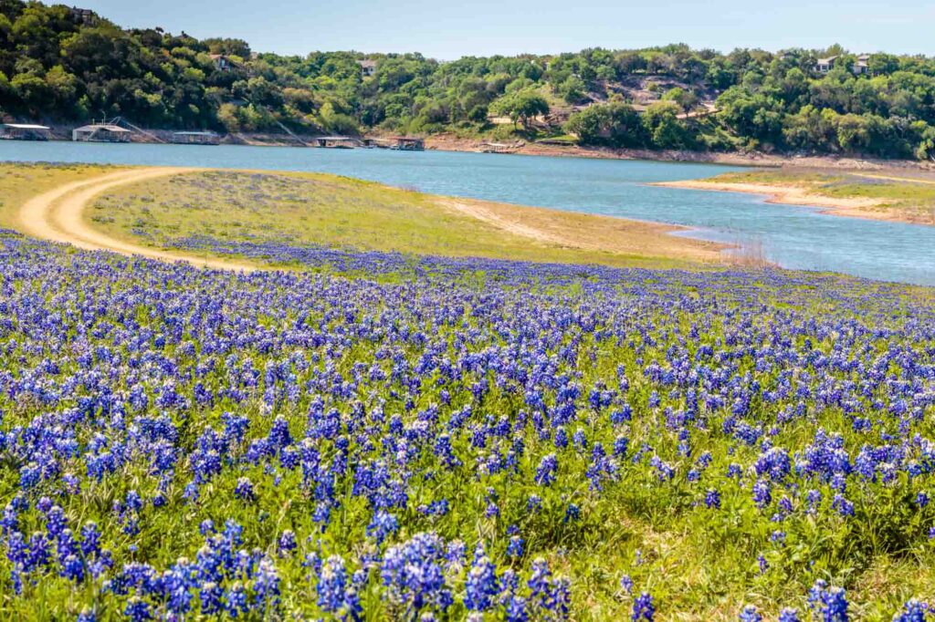 Turkey Bend Recreation Area is one of the places to see the Bluebonnets in Texas