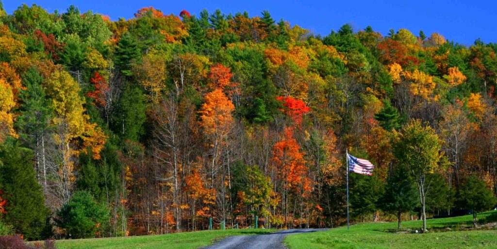 Branbury State Park is one of the most popular Vermont state parks