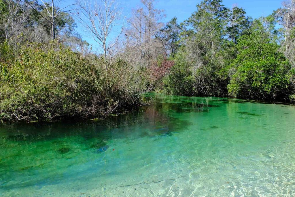 Clear spring waters of Weeki Wachee Springs State Park in Florida