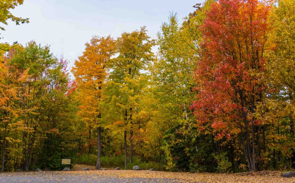 Colorful trees at Mount Philo State Park in Vermont in fall
