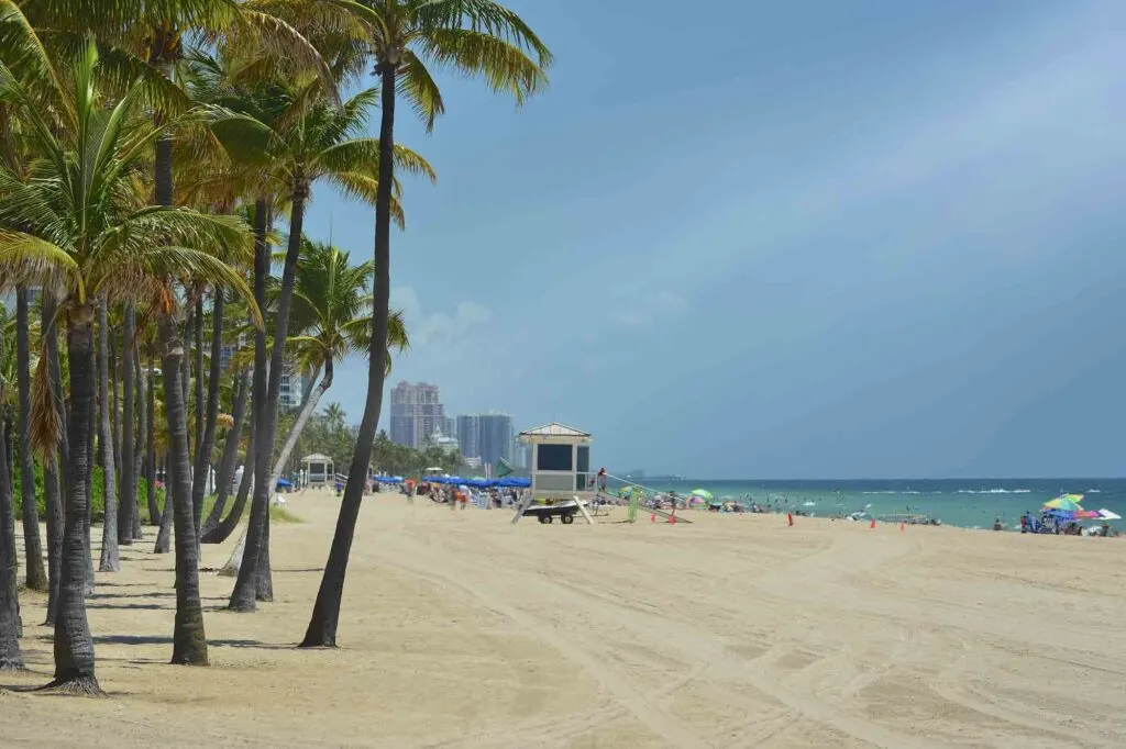 For Lauderdale beach with a lot of coconut trees