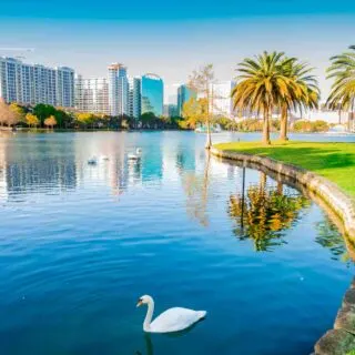 Beautiful Lake Eola in Orlando in Florida