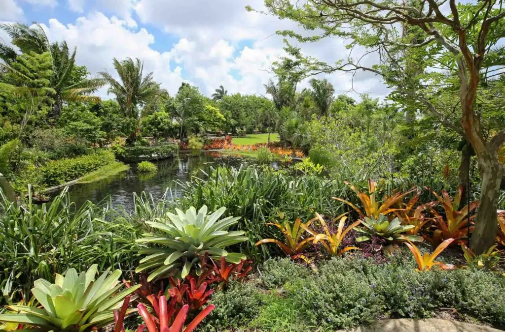 Beautiful Naples Botanical Garden in Florida