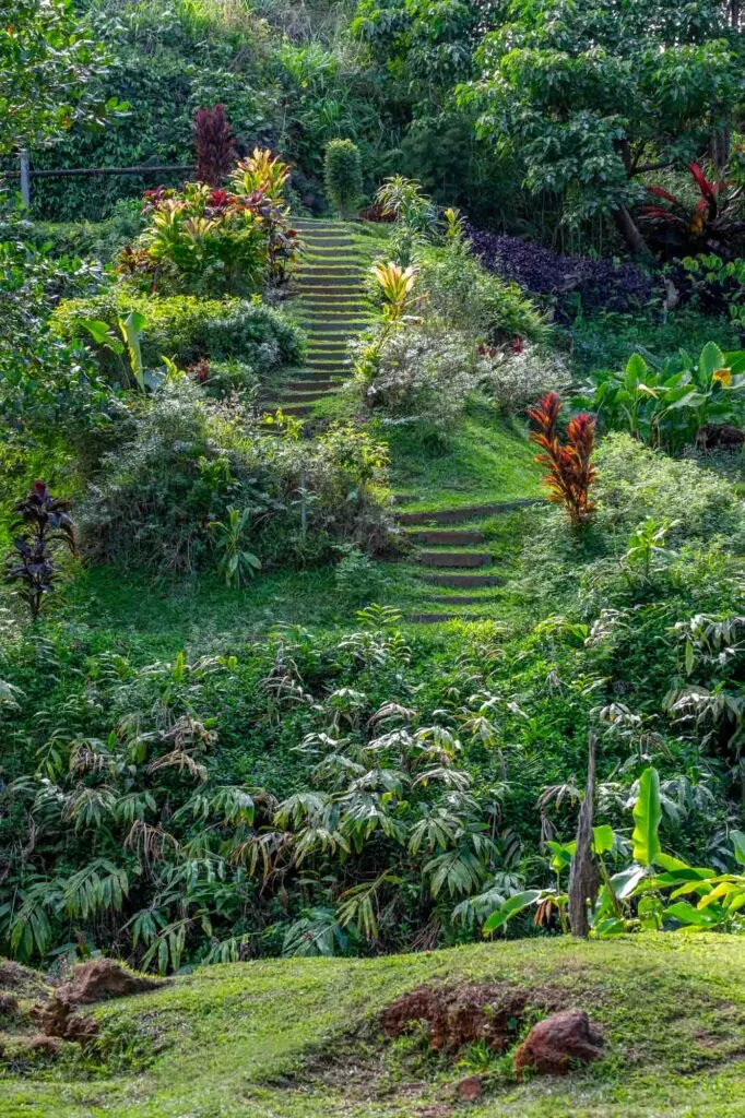 Relaxing Princeville Botanical Gardens in Hawaii