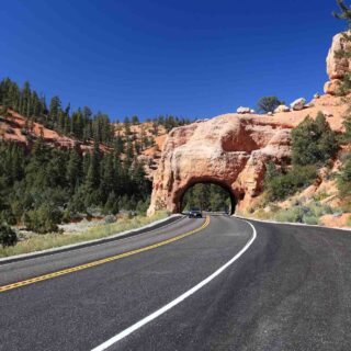 A drive through the Rainbow Point in Bryce Canyon NP in Utah