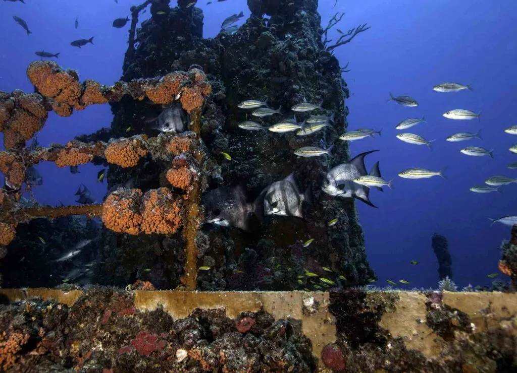 Underwater shipwreck at John Pennekamp Coral Reef State Park in Florida