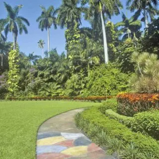 Sunken Gardens in St. Petersburg, Florida