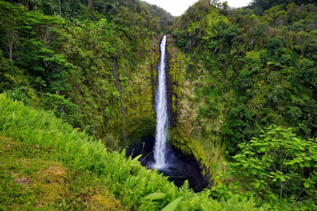The impressive falls of Akaka Falls State Park in Hawaii