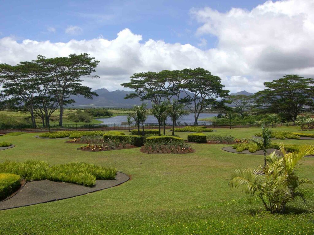 Beautiful scenery in Dole plantation in Hawaii