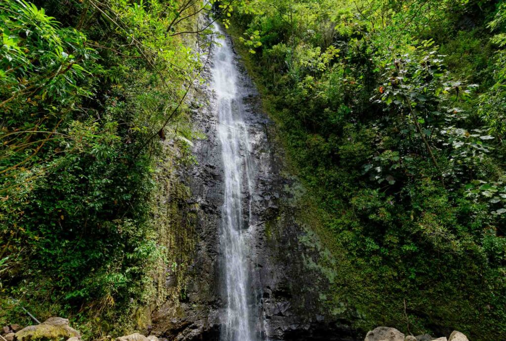 Manoa Falls is an excellent stop for an Oahu scenic drive