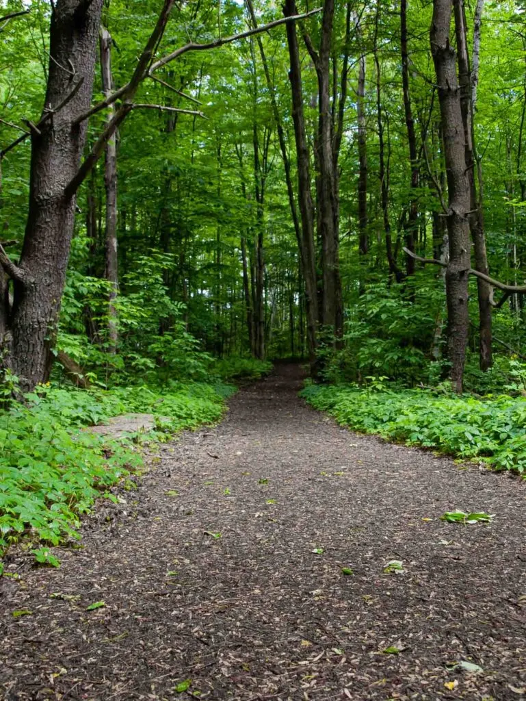 A quiet trail in Red Rocks Park in Vermont