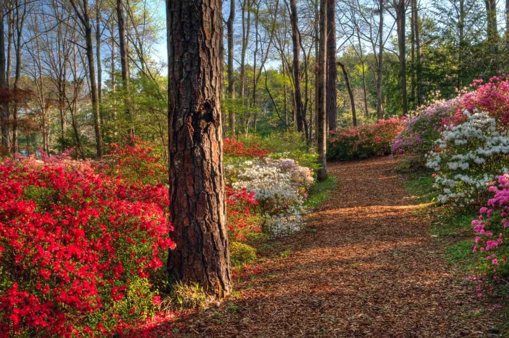 Colorful path in Callaway gardens near Atlanta in Georgia