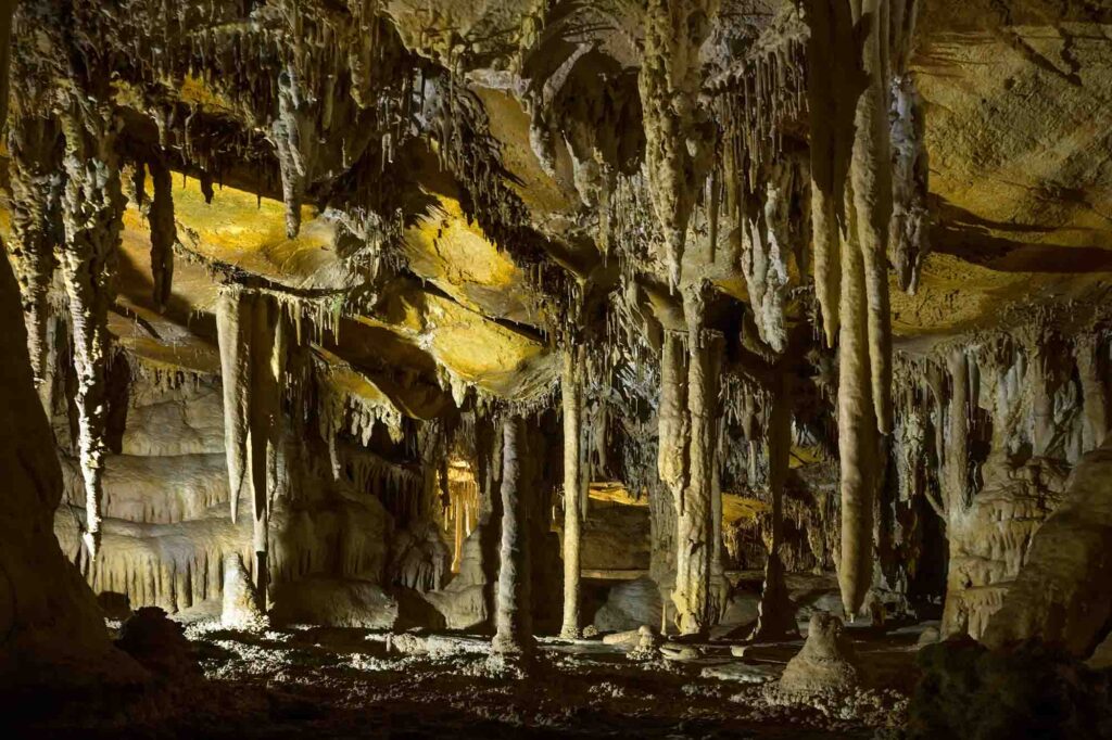 Large columns of Stalactites in Lehman Caves National Monument in Nevada