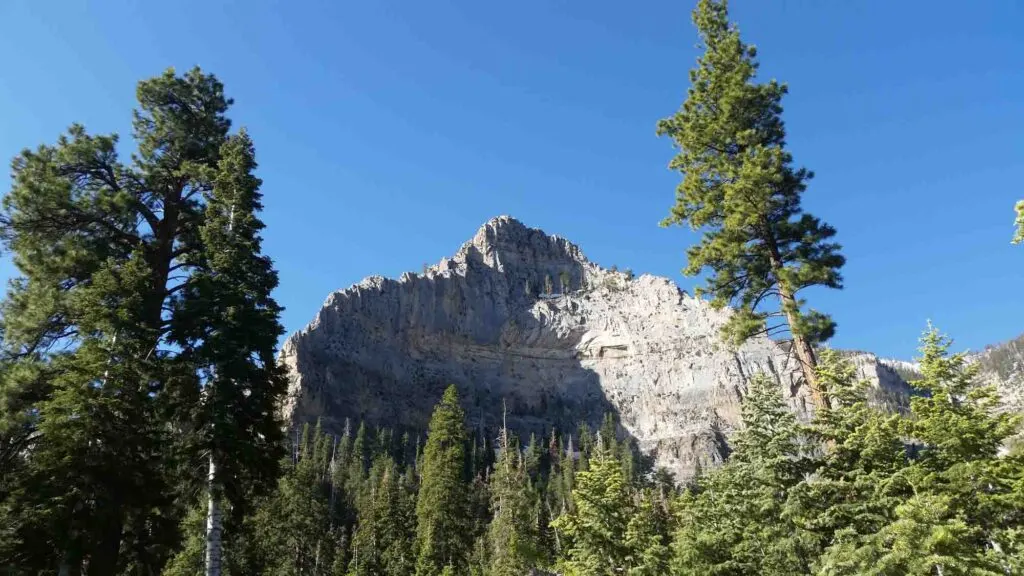 The beautiful Mount Charleston in Nevada