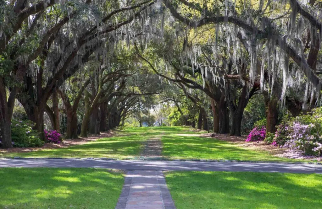Kick off your weekend in Charleston with a visit to the Charles Towne Landing Historic Site