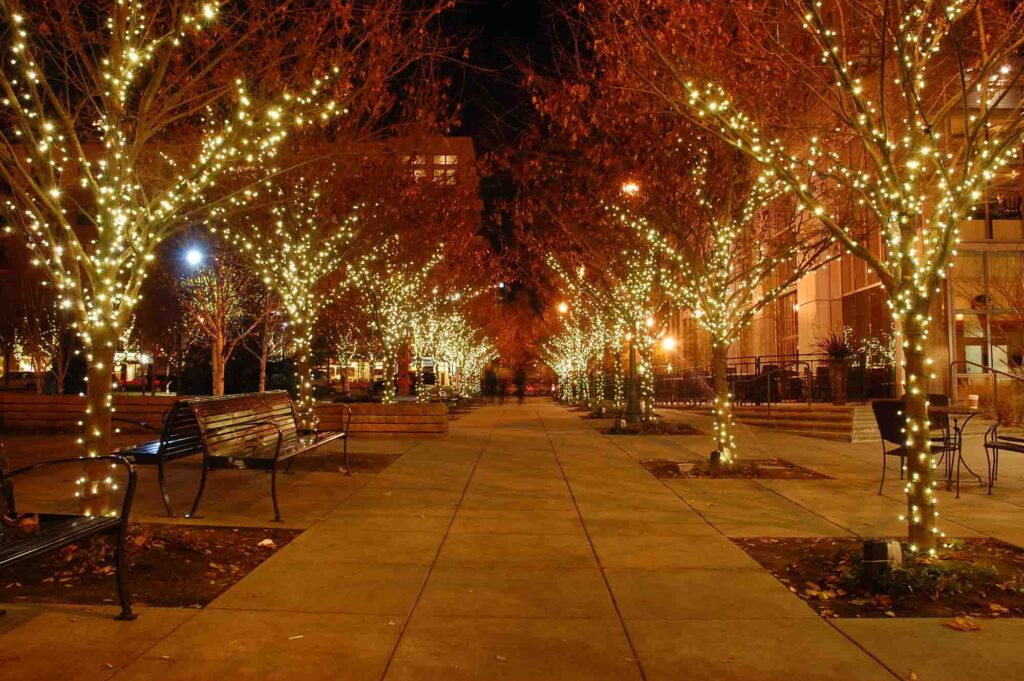 Sidewalk lined with trees draped in Christmas lights
