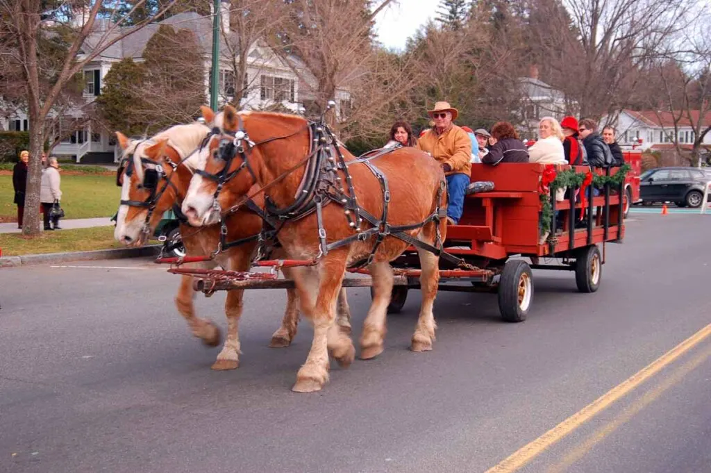 Traditional Horse Carriage Tour in Stockbridge, Ma