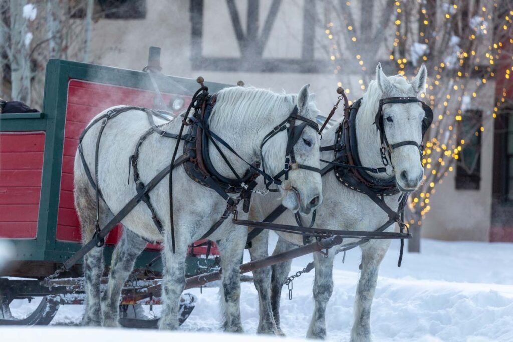 Horse-drawn sleigh in Sun Valley, Idaho during Christmas