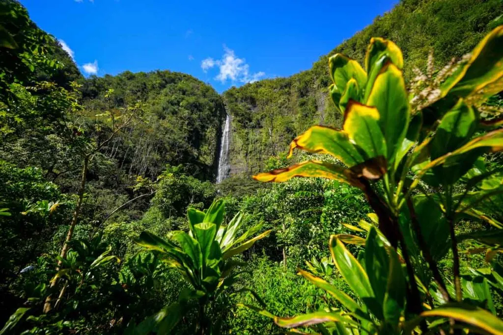 Impressive Waimoku Falls in Haleakala National Park in Hawaii