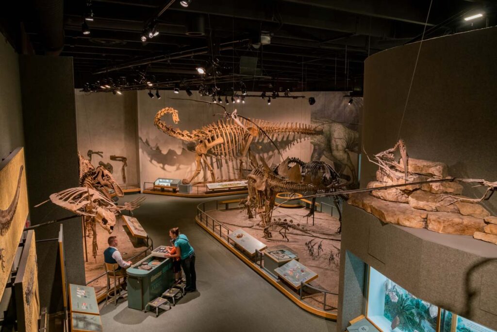 Fascinating exhibits at Denver Museum of Nature and Science