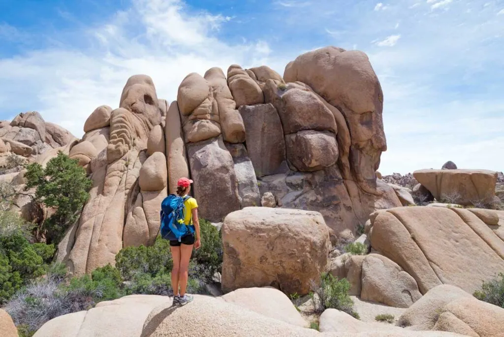 Another national park near Las Vegas that is worth visiting is Joshua Tree National Park in California